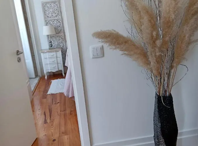 Pont Luiz Apartament Porto