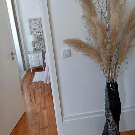 Pont Luiz Lejlighed Porto